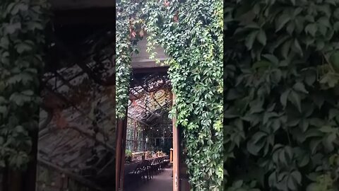 Nice Wedding Place tiktok sbutko 
