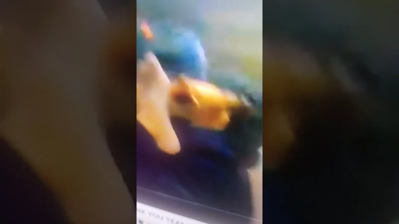 Tony Pizza Leons 1st Christmas