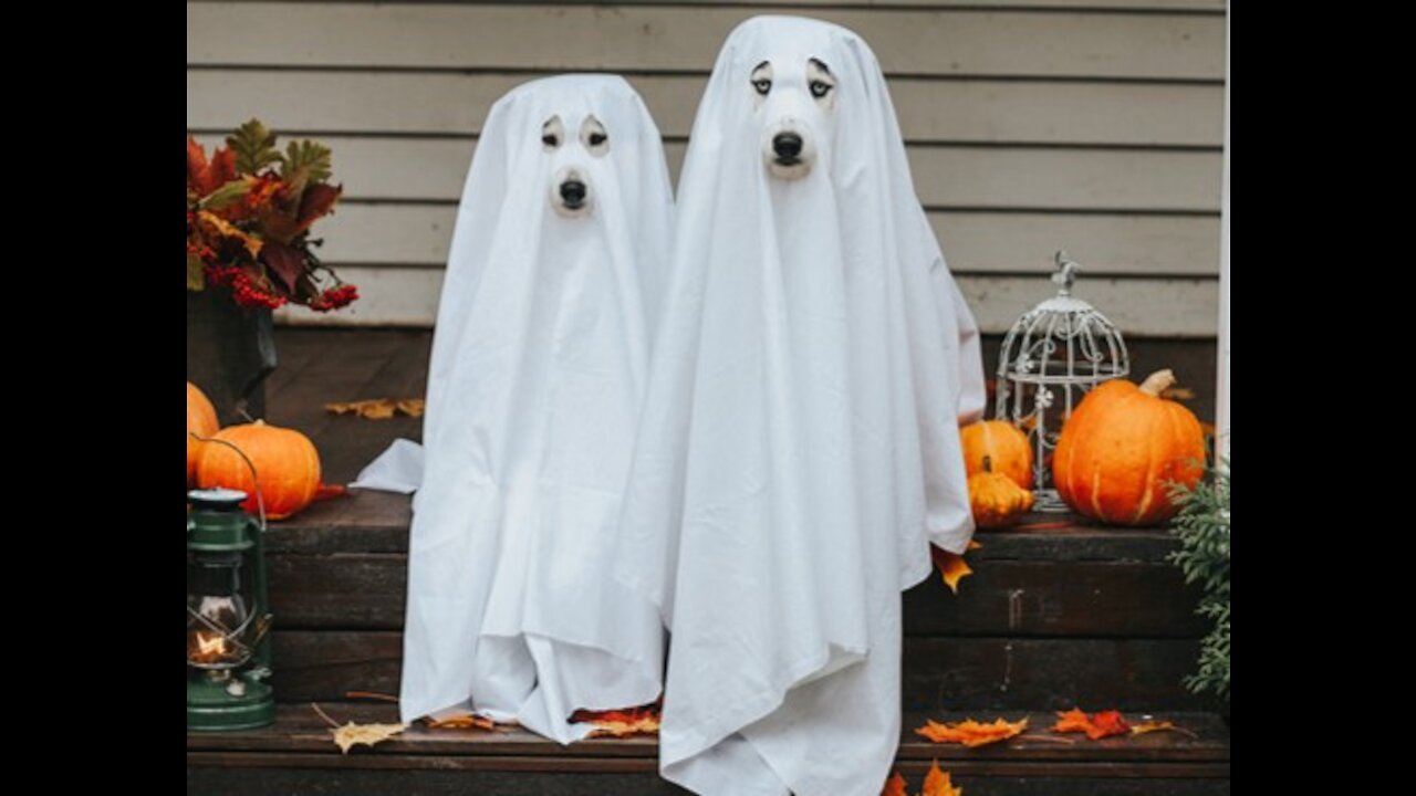 Hunting for Phantom Voters