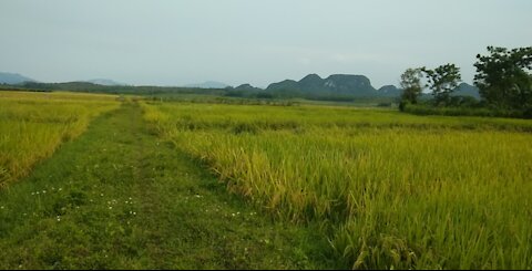 most muddy in Vietnam