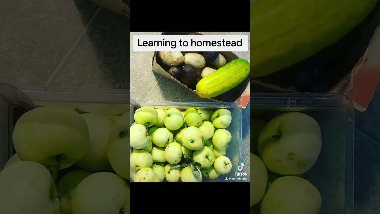 Learning to homestead organically