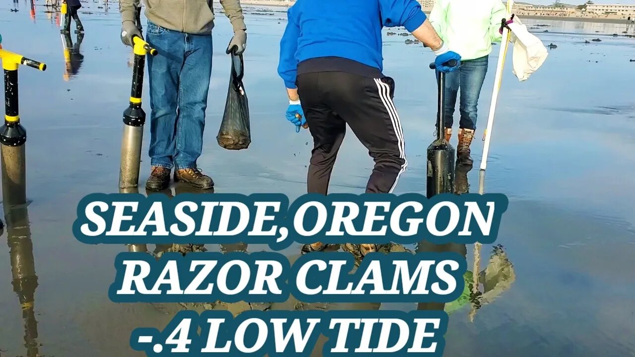 Seaside,Oregon Razor Clams -.4 Low Tide