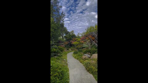 Castro Valley ,California