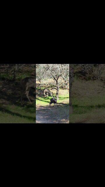 don't even care we are here