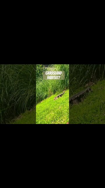 Erosion slope stabilization, can you see difference?