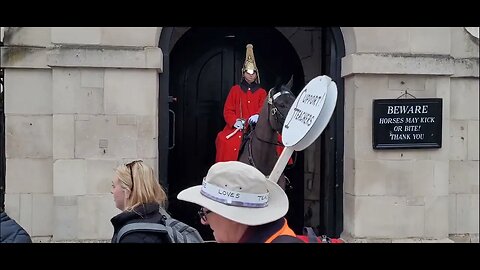 Teachers strike protesters scaring the Horse #horseguardsparade