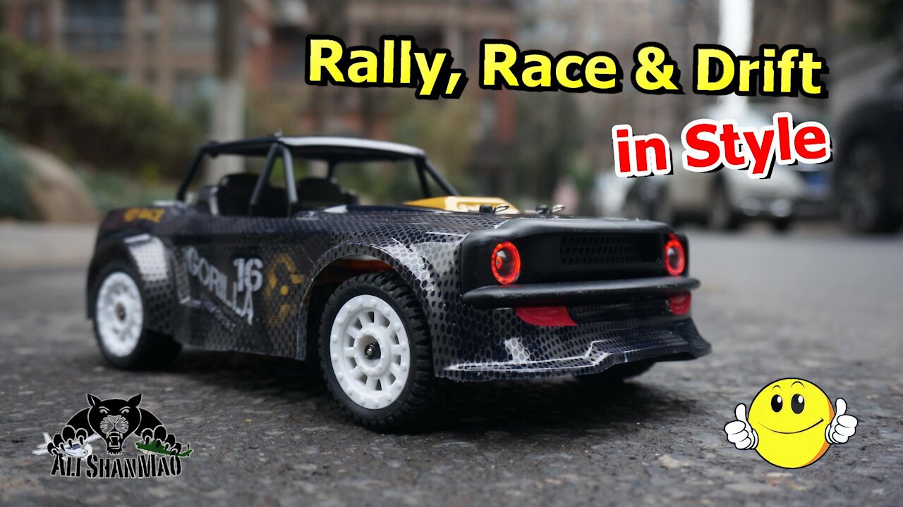 SG 1604 RTR 4WD 30km/h RC Rally Car RC Drift Car with ESP