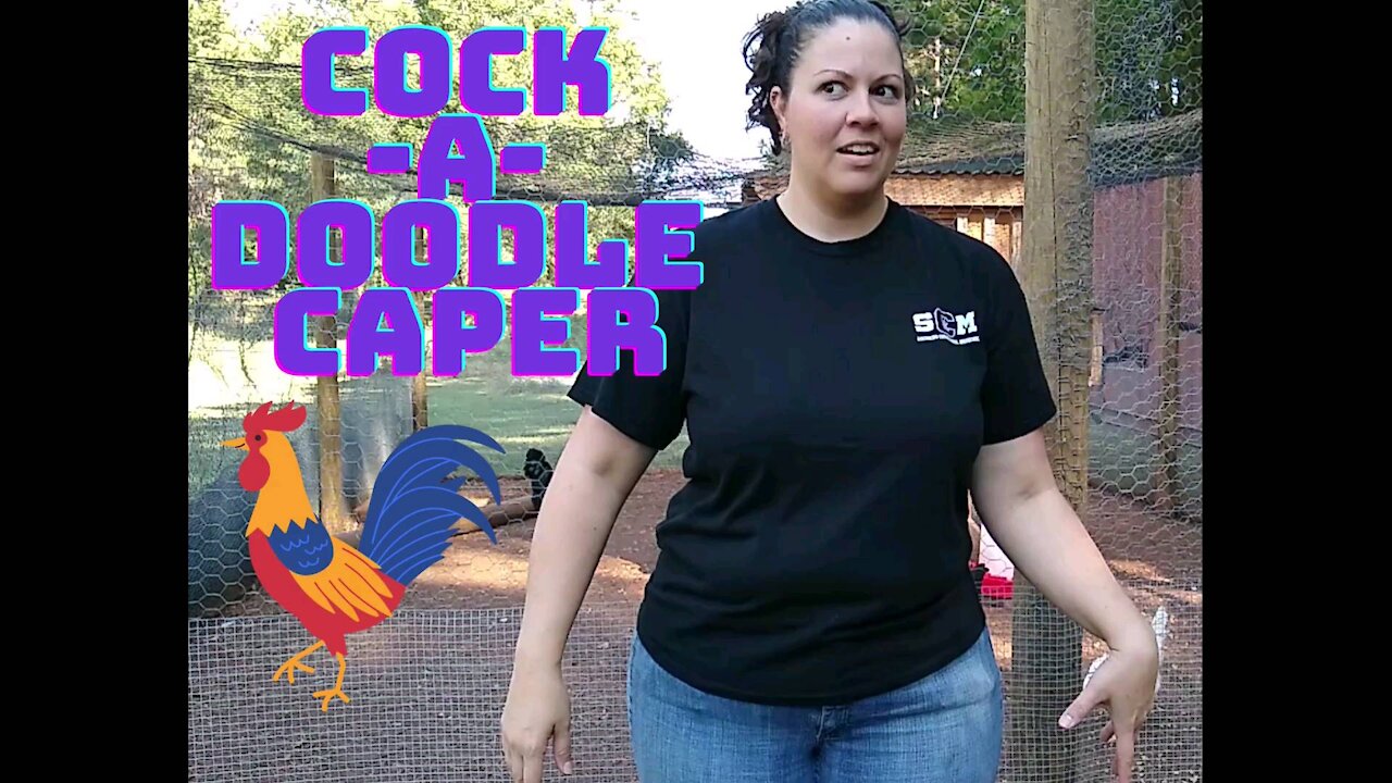 Cockadoodle Caper