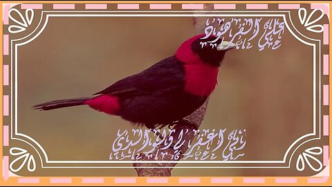 ذكر رحمة ربك عبده زكريا اجمل تلاوة@nsrm11