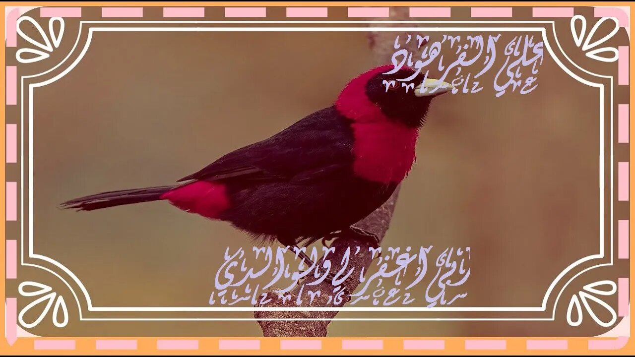 ذكر رحمة ربك عبده زكريا اجمل تلاوة@nsrm11