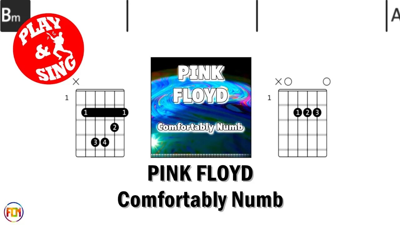 PINK FLOYD Comfortably numb FCN GUITAR CHORDS & LYRICS