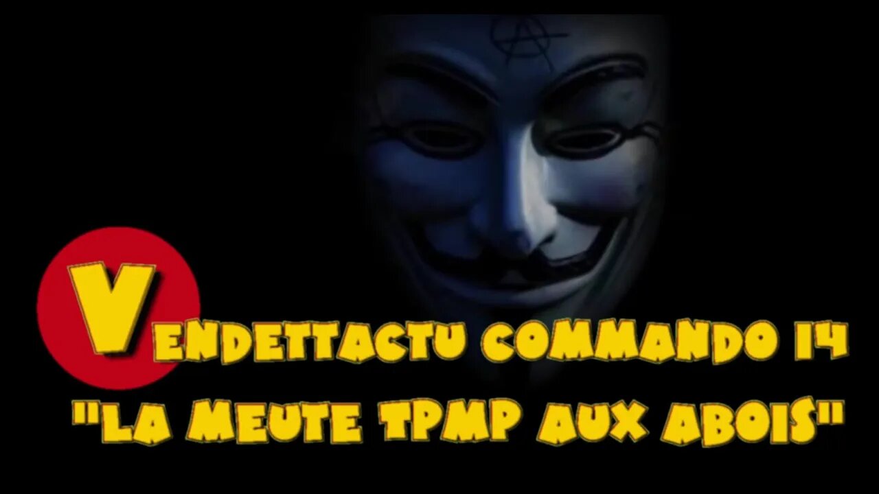 Vendettactu Commando "La meute TPMP aux abois"