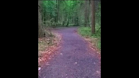 Rainy day at Brickyard Community Park