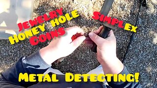 Honey Hole Hunt | Metal Detecting | Treasure | Search 4 Gold | Simplex | Florida | Hardcore | Pro