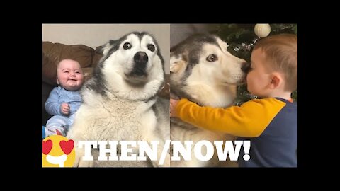 The Amazing 2 Year Story Of My Baby & Husky Becoming Best Friends! [UNSEEN CLIPS]