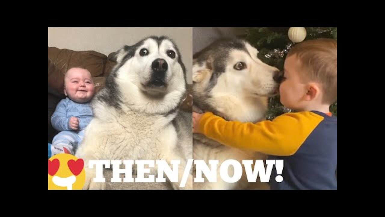 The Amazing 2 Year Story Of My Baby & Husky Becoming Best Friends! [UNSEEN CLIPS]