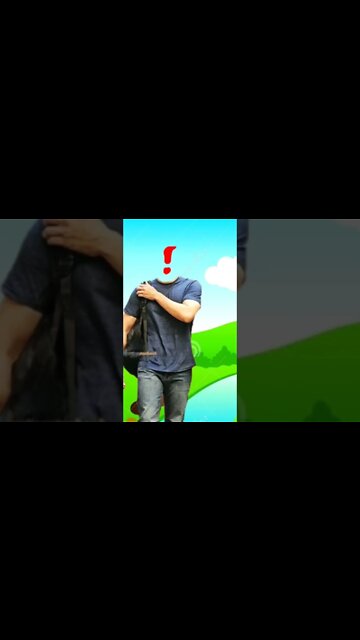 Bollywood Actors With Almost Zero Haters 💥❤️ #shorts #bollywood#wrongheads