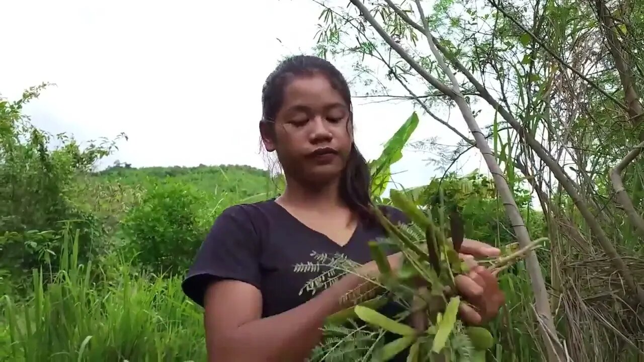 Found lots Swarm of Coconut worms for food in Jungle