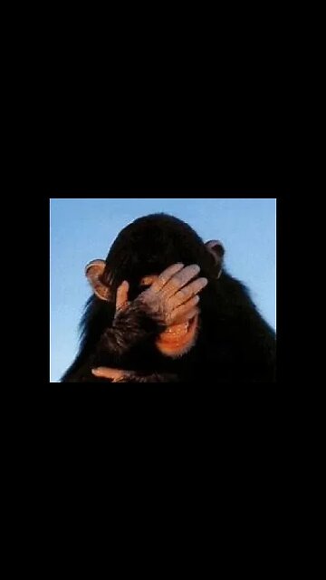 Monkeypox back in Israel