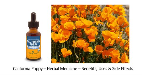 California Poppy Herbal Medicine Benefits, Uses & Side Effects