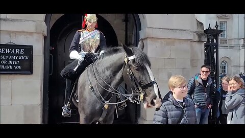 Good Friday horse tourist come to horse Guards parade #horseguardsparade