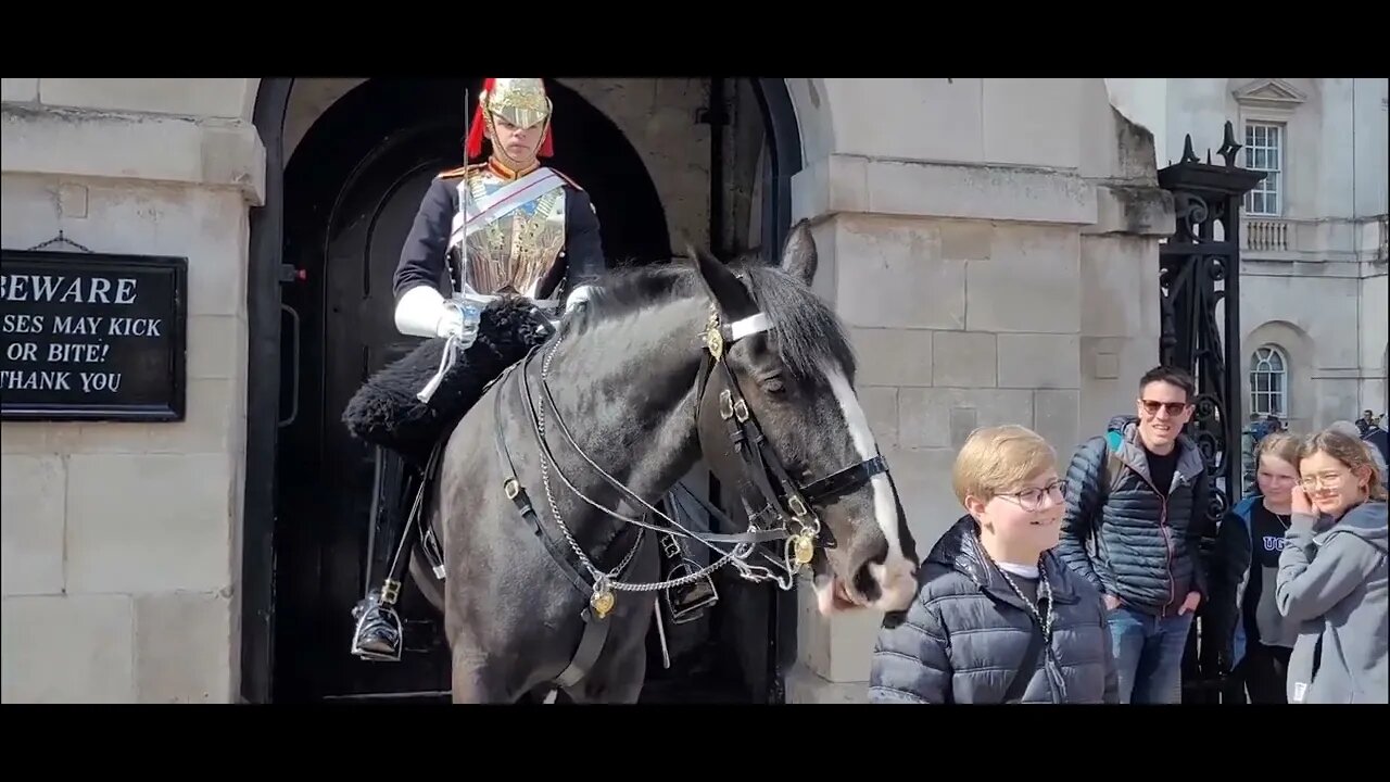 Good Friday horse tourist come to horse Guards parade #horseguardsparade