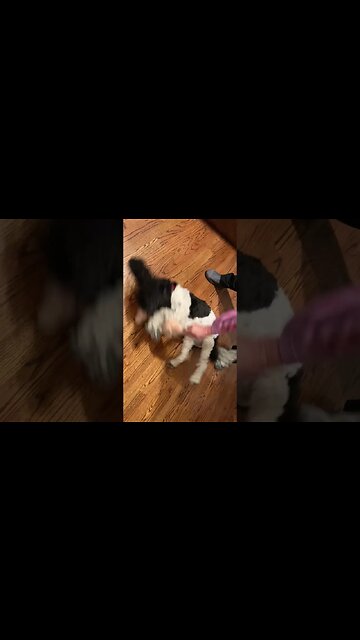 Hollywood Loves To Spin