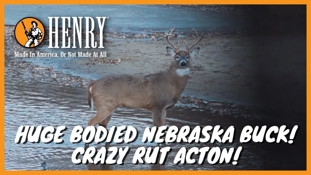 Huge bodied Nebraska buck! Crazy whitetail rut action!