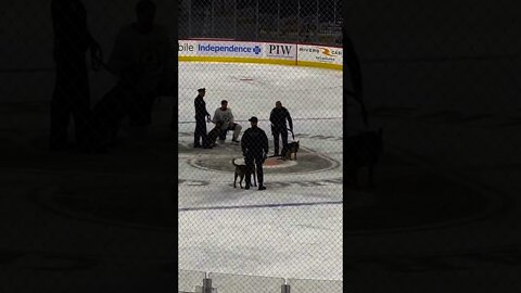 Police Dog Poops On The Philadelphia Flyers Ice