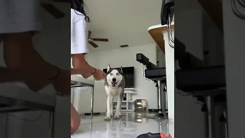 19 августа 2023 г.