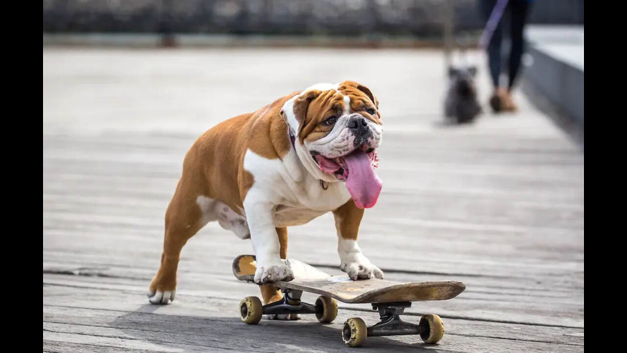 Hey, look at me skateboarding!