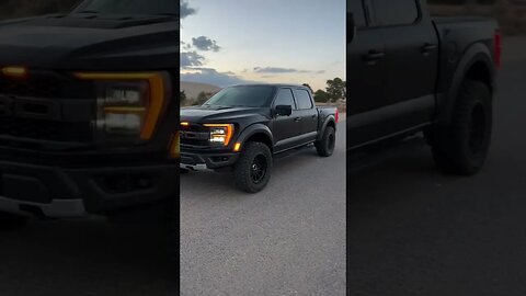 Gen 3 Ford Raptor Build