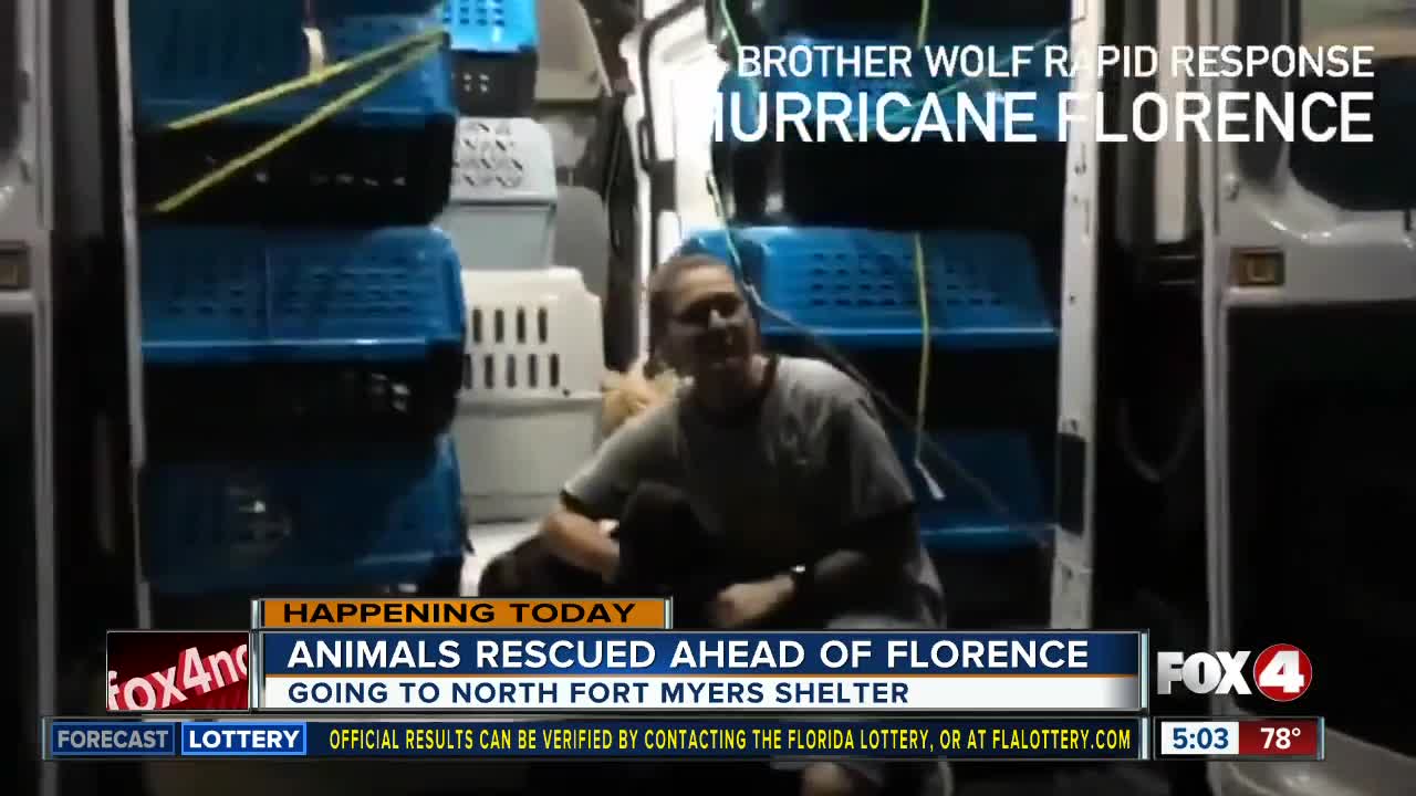 Animals being evacuated from South Carolina to North Fort Myers shelter