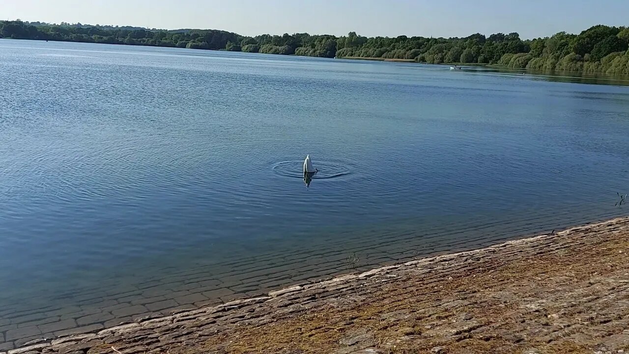 Ducks, Swans & Geese at Ravensthorpe Resevoir, & a Look at the Anglian Water Facility