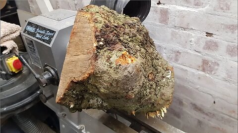 Woodturning - Apple Burl