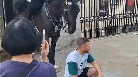 never put yourself beneath a horse #horseguardsparade