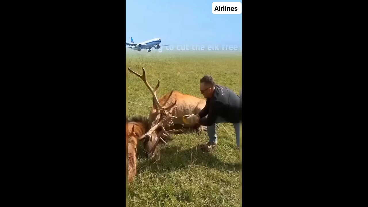 Takeoff and Landing at the same time //✈️😎😱#viral#shorts