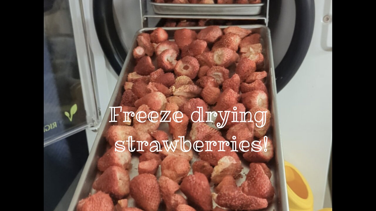 How to freeze dry foods.....general overview