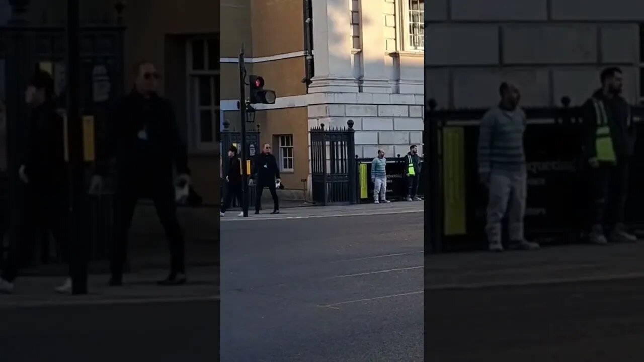 Princess Anne across the road #horseguardsparade