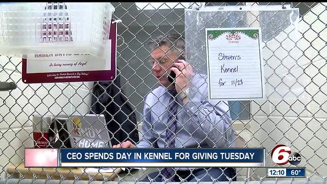 CEO of humane society gets kenneled for a good cause