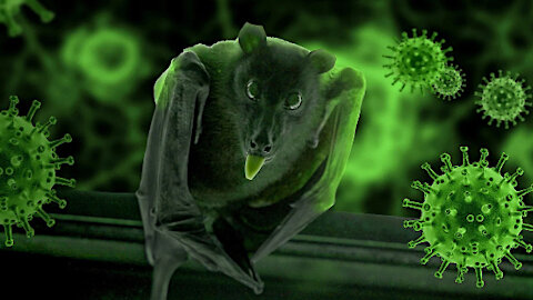 “Chimeric protein spike delivered through skin by nanoparticles”