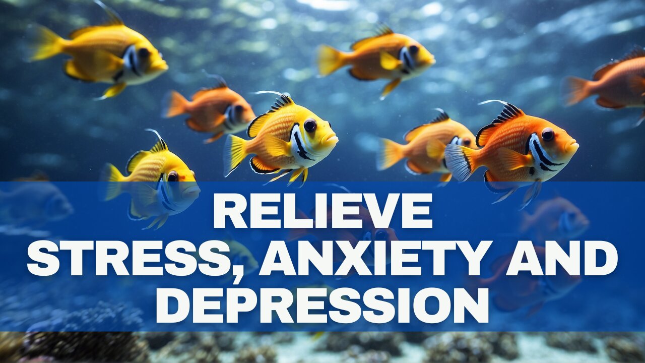 🐬 Serenity Symphony: Relaxing Music to Relieve Stress, Anxiety and Depression