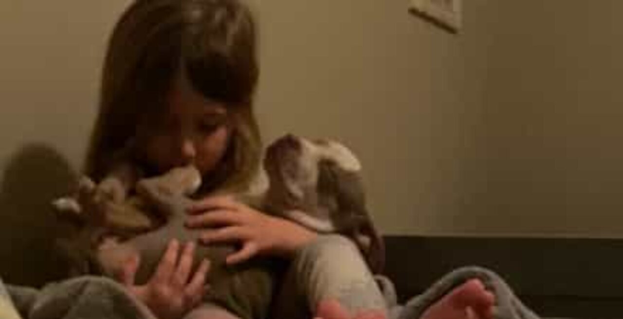 Menina adormece o seu cachorrinho com canção de embalar