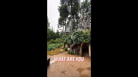 Shrek's house