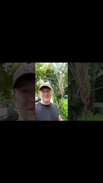 I Can’t Get Enough