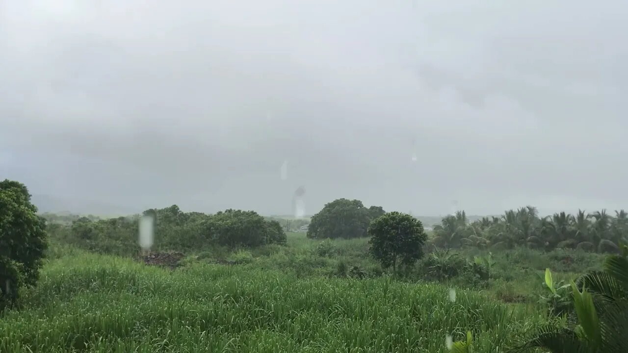 Heavy Sleep In The Heavy Rain Storm Looking At The Tropical Fields