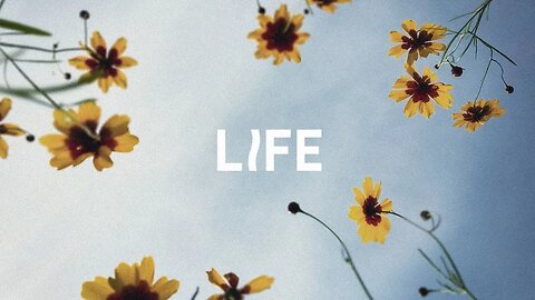 8.6.2023: Life