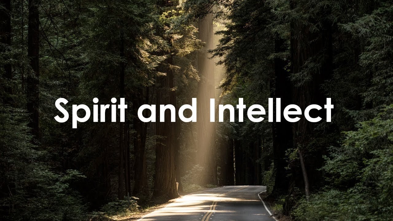 July 7 Devotional- You only "win" by the Spirit, not the intellect - Tiffany Root & Kirk VandeGuchte