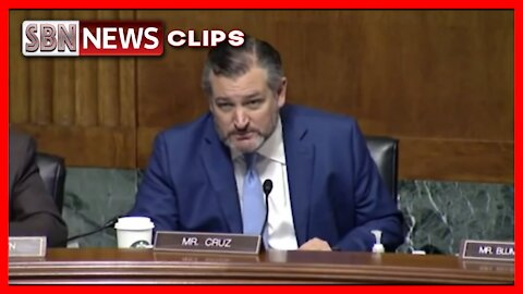 Ted Cruz Accuses Democrats of Trying to 'Rig the System' - 3979