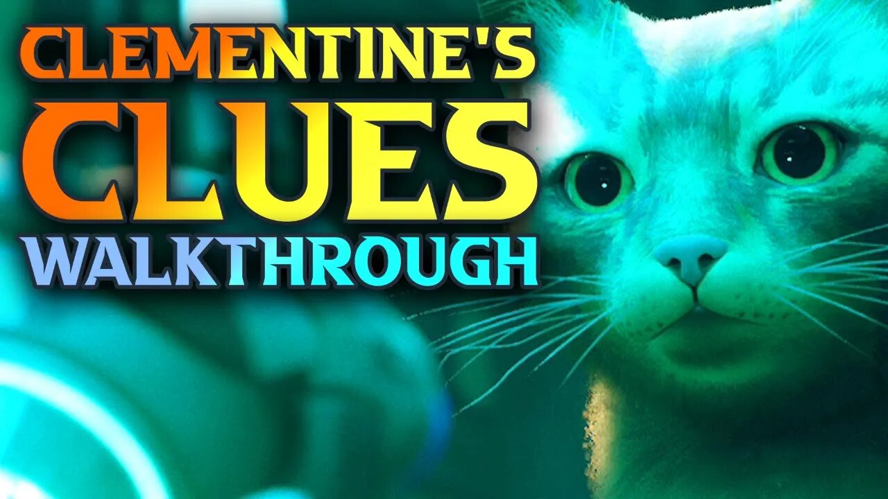Stray Clementine's Clues To Find Where She Went